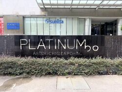Platinum 28 (D13), Factory #622570111
